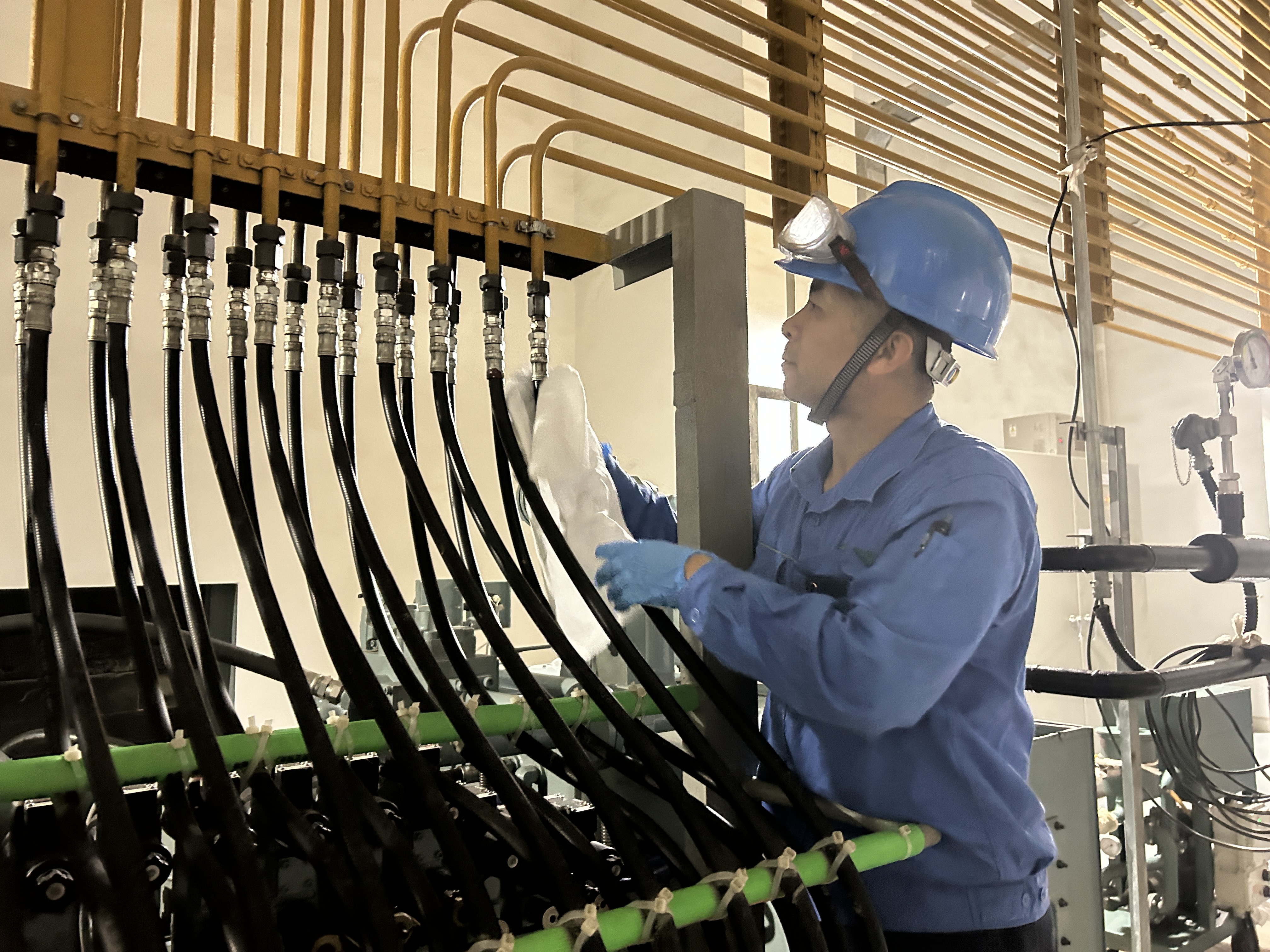 劳动创立优美生涯 | 致敬W66最给力的老牌娱乐劳动模范