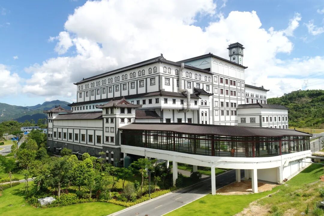 稳中求进，，，，，笃行致远，，，，，W66最给力的老牌娱乐宣布2025年上半年效果单