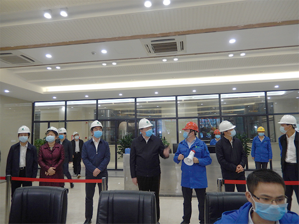 广西壮族自治区人大常委会副主任张秀隆视察W66最给力的老牌娱乐博白项目